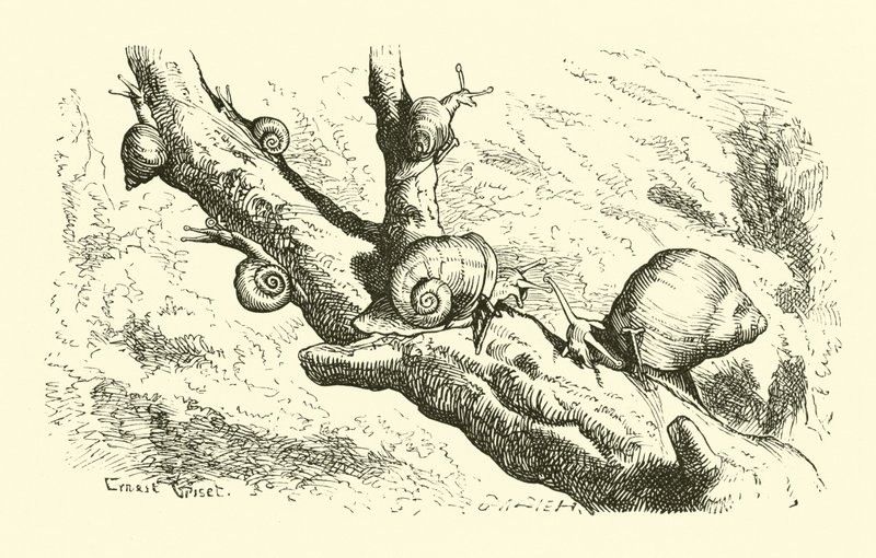 Six Little Snails by English School
