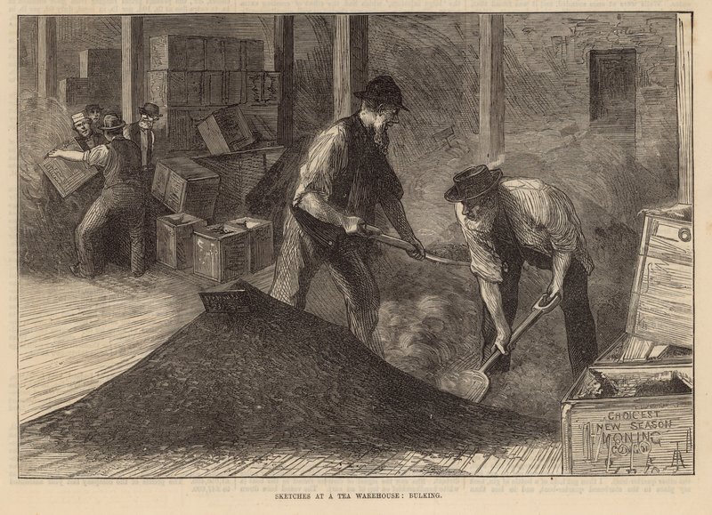 Sketches at a Tea Warehouse: Bulking by English School