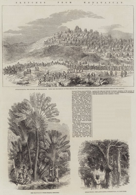 Sketches from Madagascar by English School