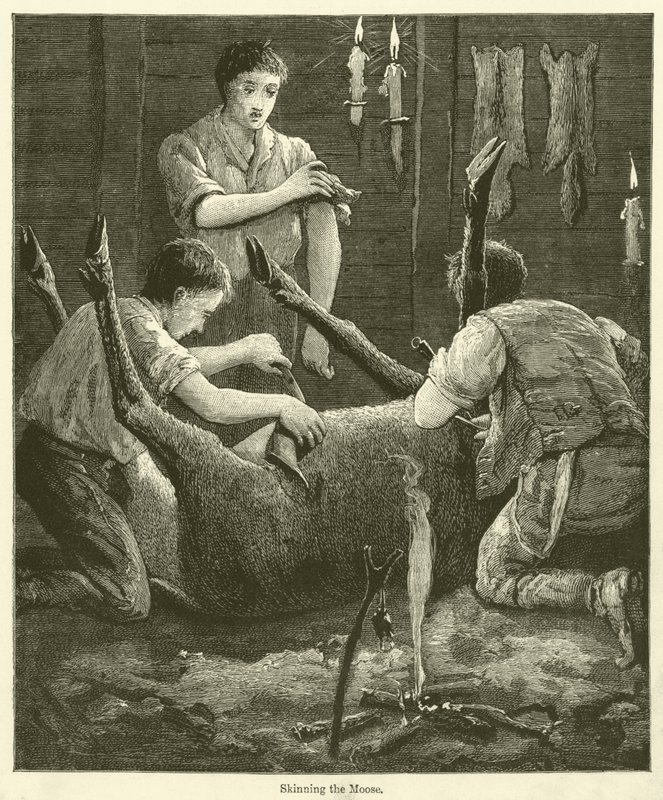 Skinning the Moose (engraving) by English School