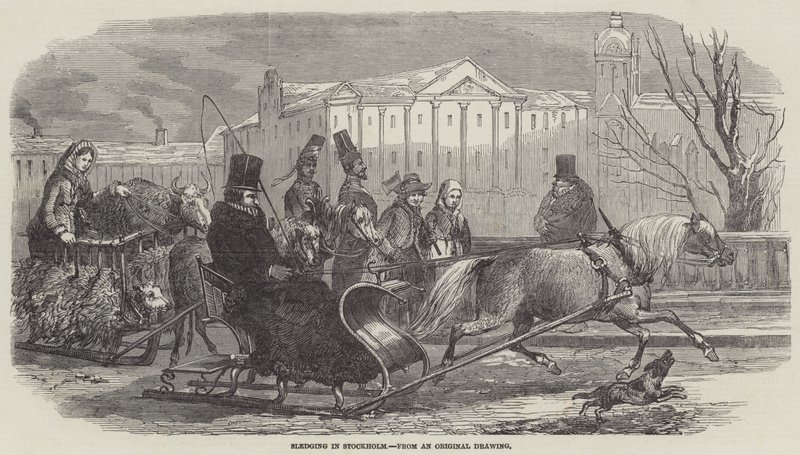 Sledging in Stockholm by English School