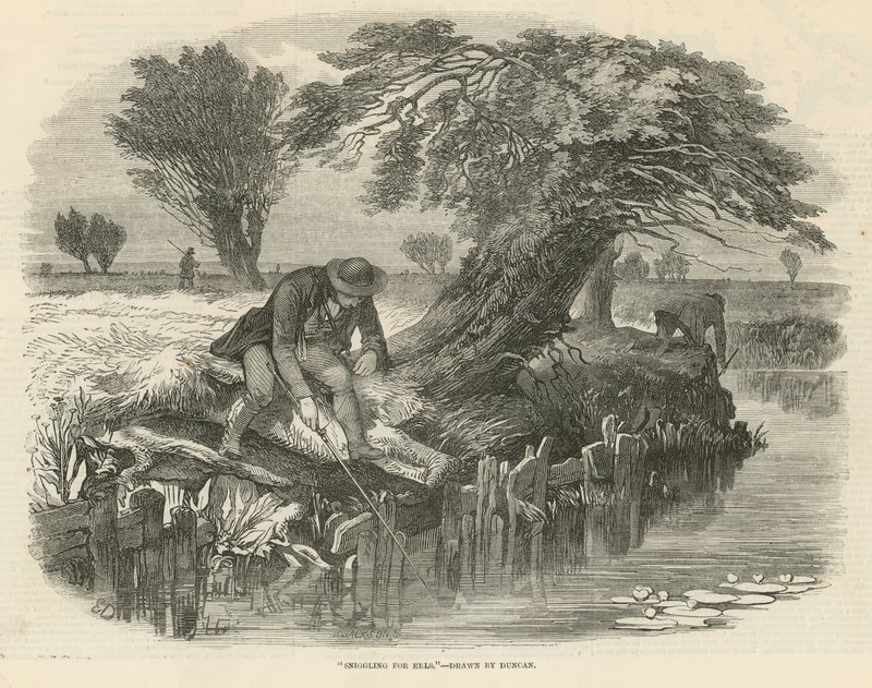 Sniggling for Eels by English School