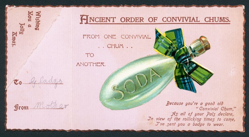 Soda Bottle with tartan ribbon by English School