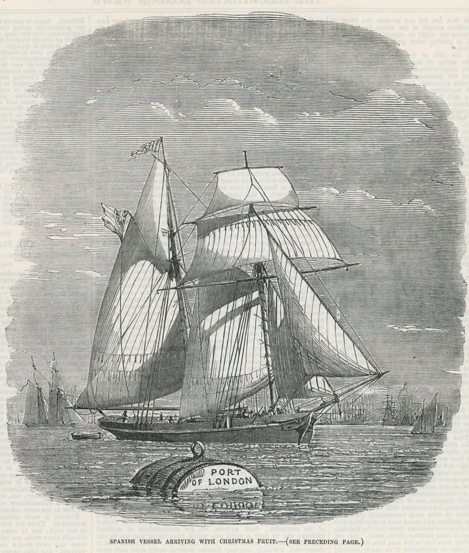 Spanish Vessel Arriving with Christmas Fruit by English School