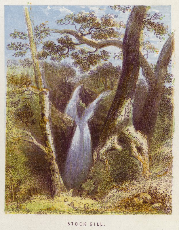 Stock Gill by English School
