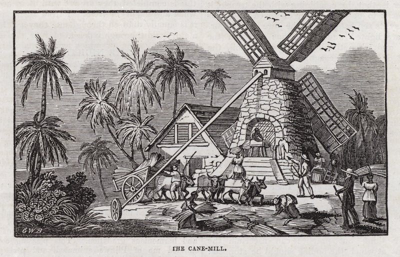 Sugar production by English School