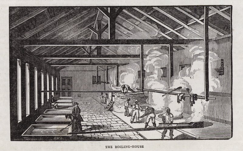 Sugar production by English School