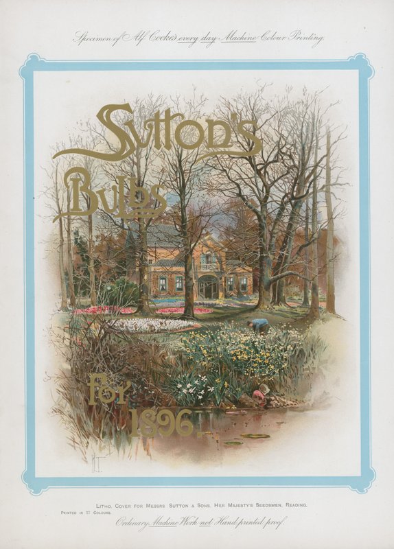 Suttons Bulbs for 1896 by English School
