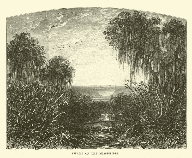 Swamp on the Mississippi by English School
