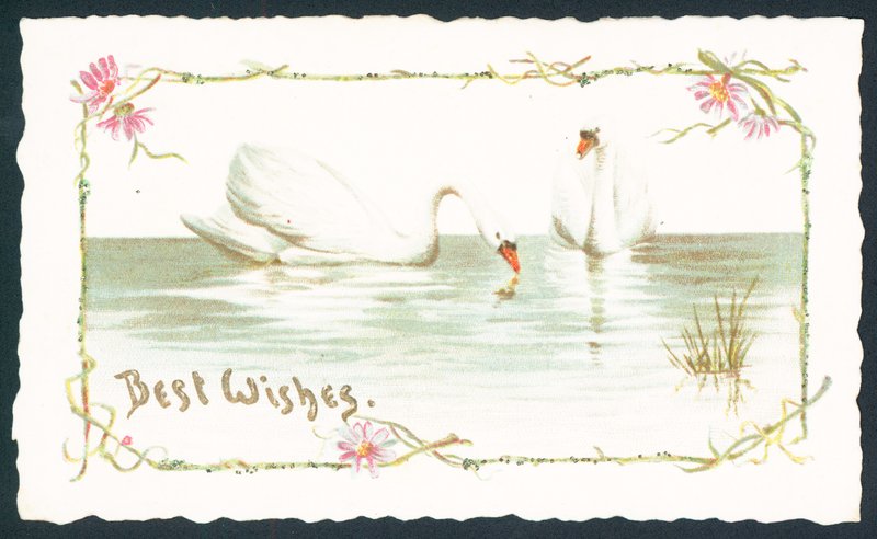 Swans on Lake by English School