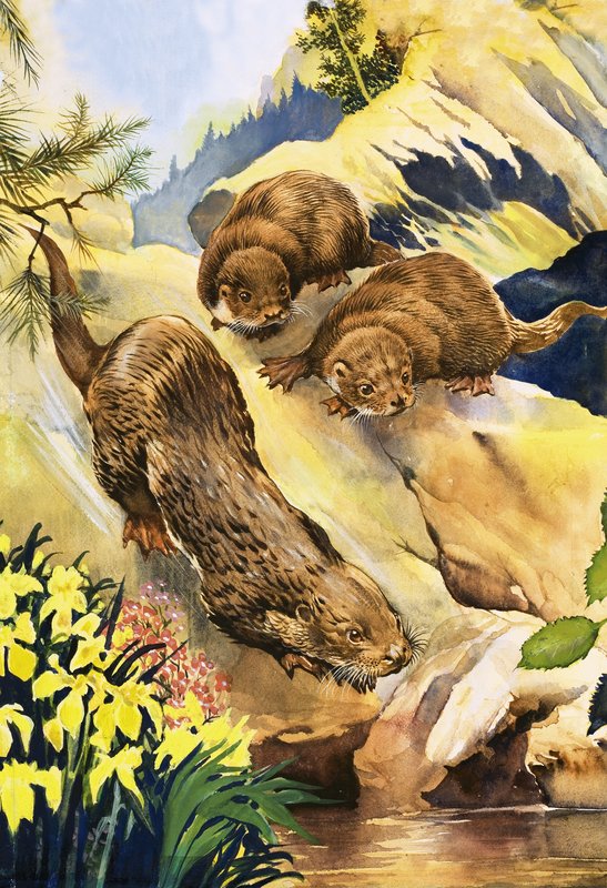 Swimming lessons for otters by English School