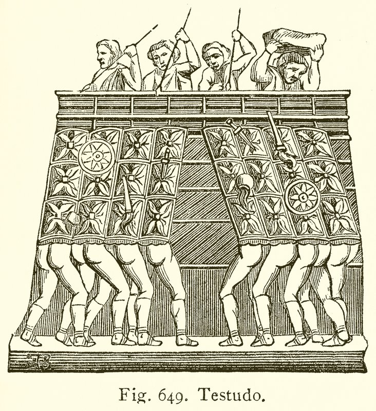 Testudo by English School
