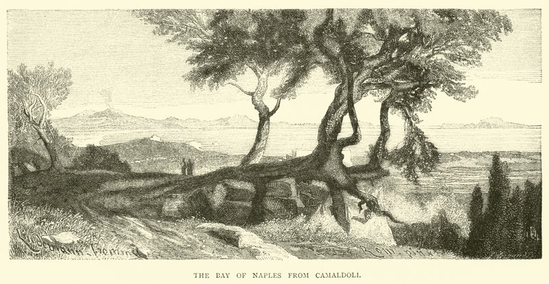 The Bay of Naples from Camaldoli by English School