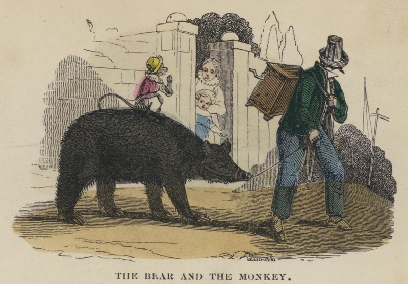 The Bear and the Monkey by English School