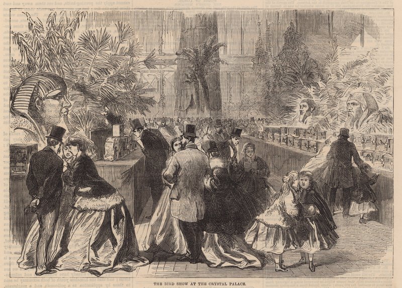 The Bird Show at the Crystal Palace by English School