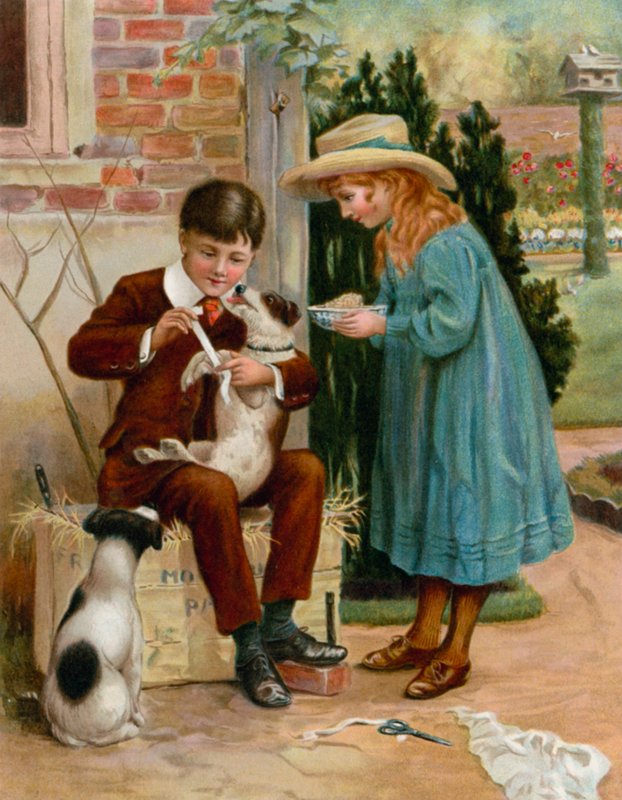 The Boy Doctor by English School