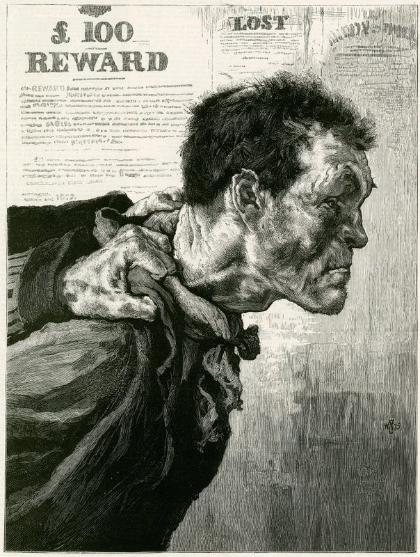 The British Rough by English School