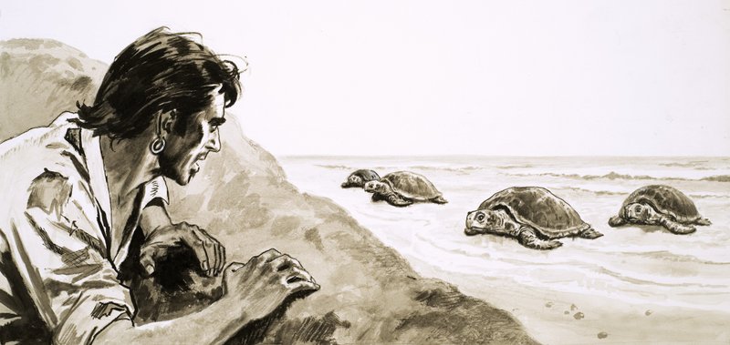 The Castaways: Terror of Turtle Island by English School