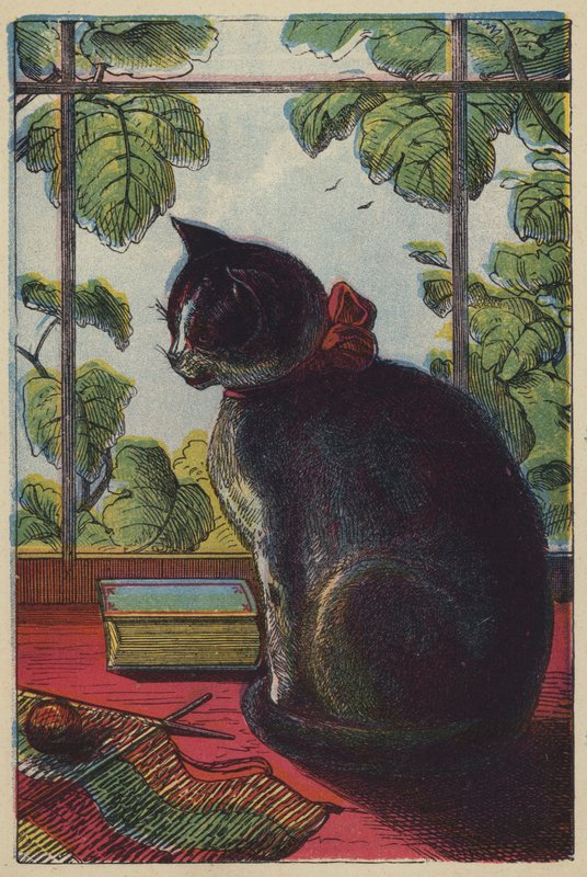 The Cat by English School