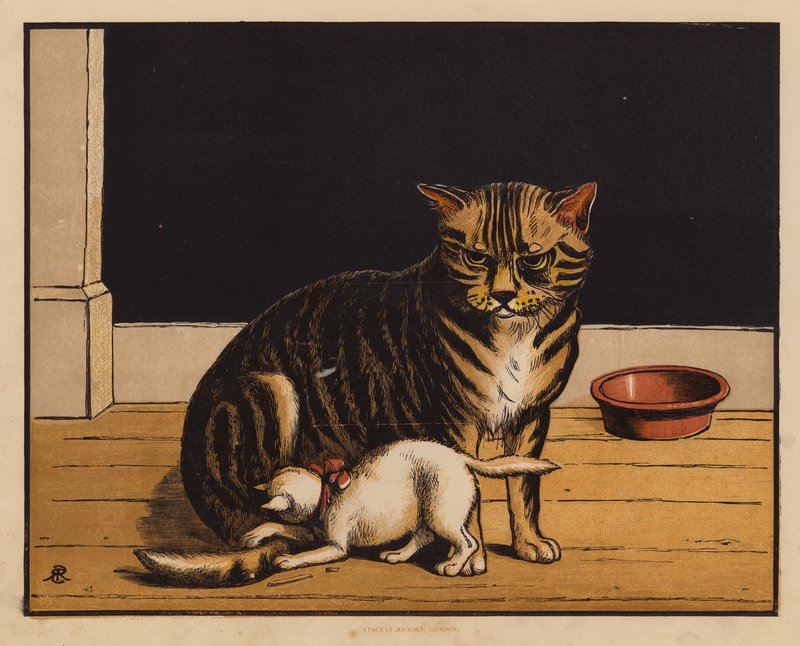 The Cat by English School