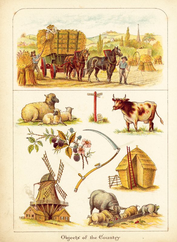 The Country by English School