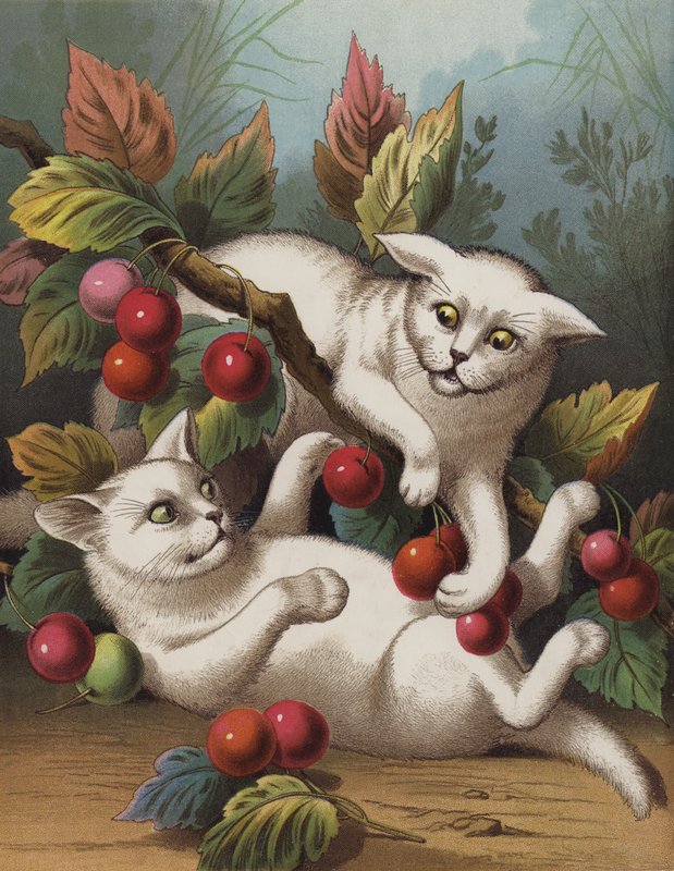The Cross Kitten by English School