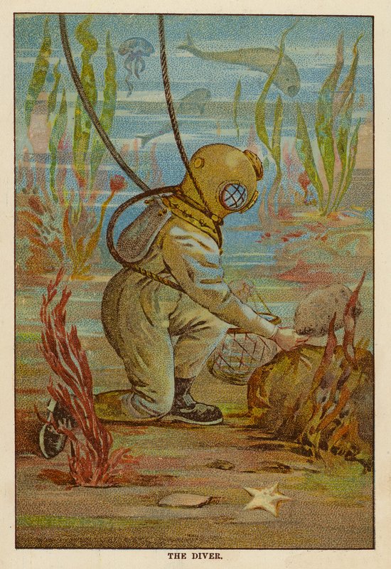 The Diver by English School