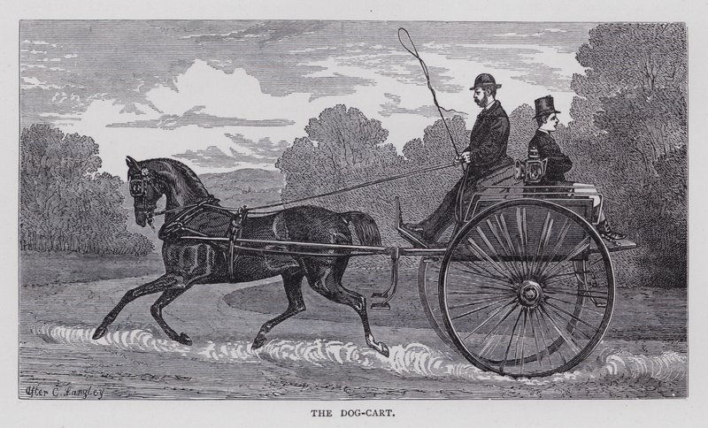The Dog-Cart by English School