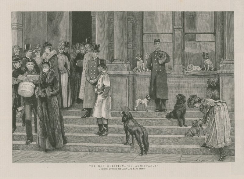 The Dog Question - No Admittance by English School