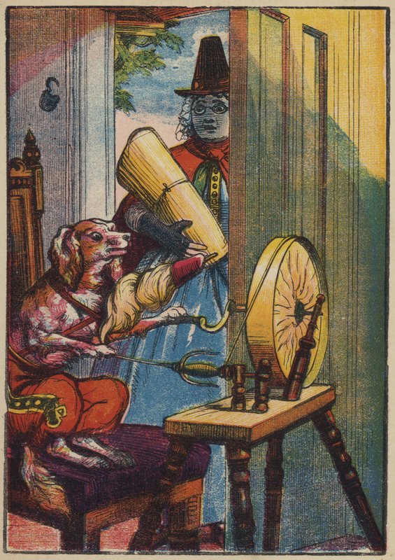 The Dog Spinning by English School
