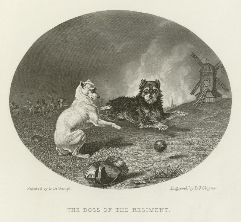 The Dogs of the Regiment by English School