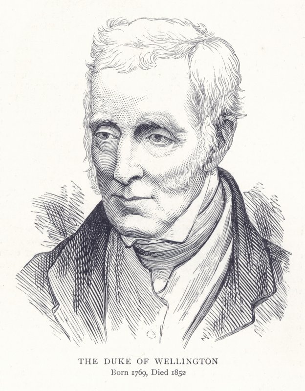 The Duke of Wellington by English School