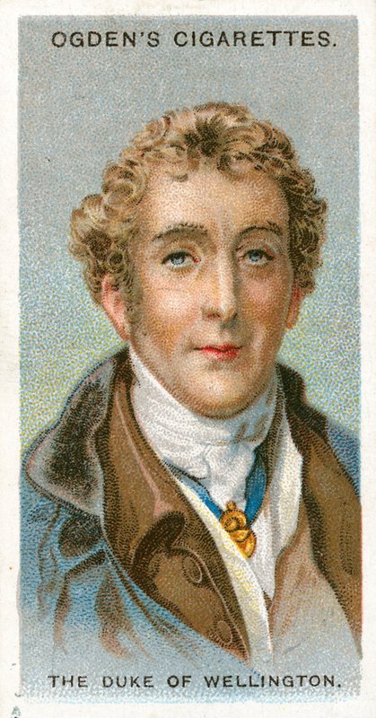 The Duke of Wellington by English School