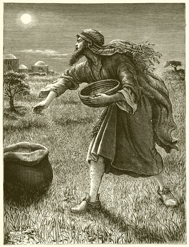 The Enemy Sowing Tares by English School