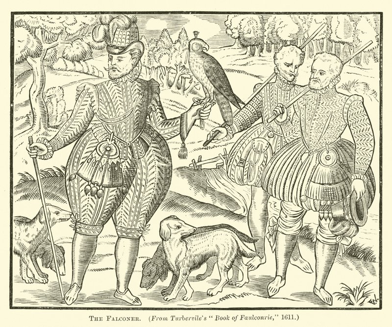 The Falconer by English School