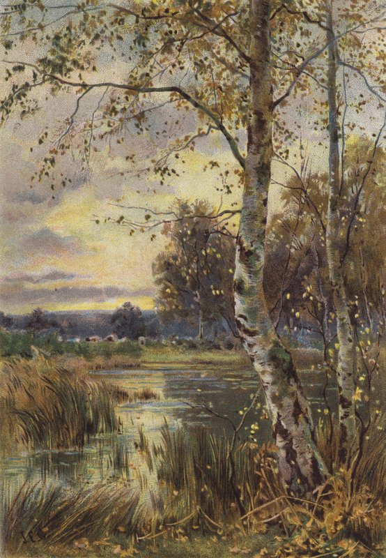 The Falling Leaf by English School