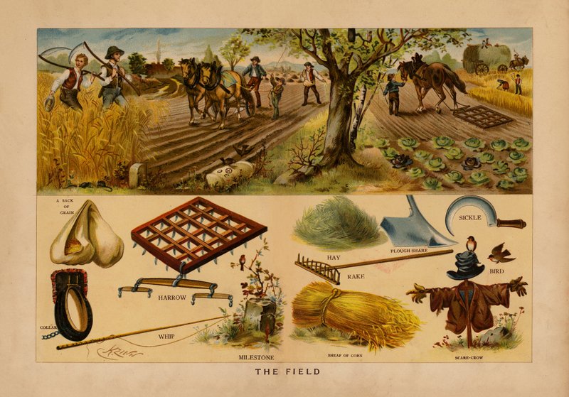 The Field by English School