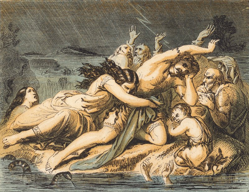 The Flood by English School