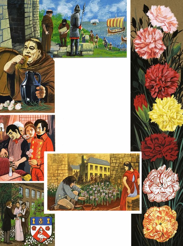 The Flowers That Bloom: Bright Carnations by English School