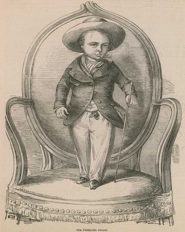 The Friesland Dwarf by English School