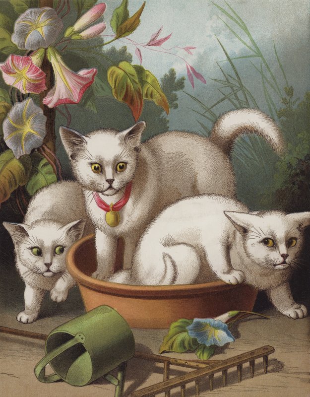 The Frightened Kittens by English School