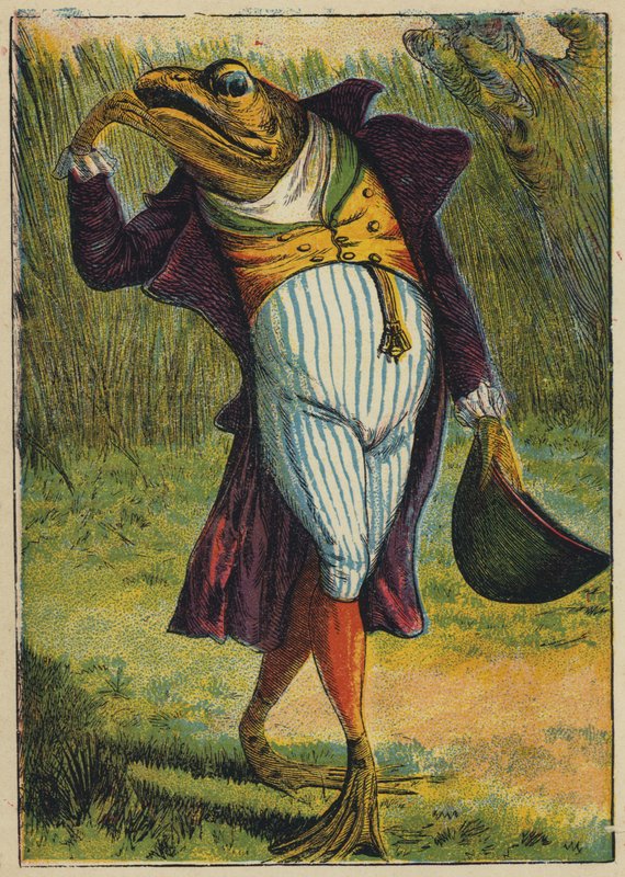 The Frog in Full Dress by English School