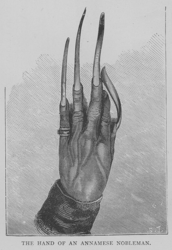 The Hand of an Annamese Nobleman by English School