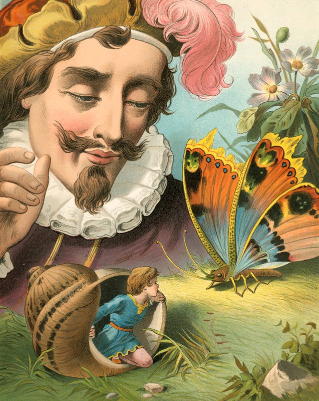 The History of Tom Thumb by English School