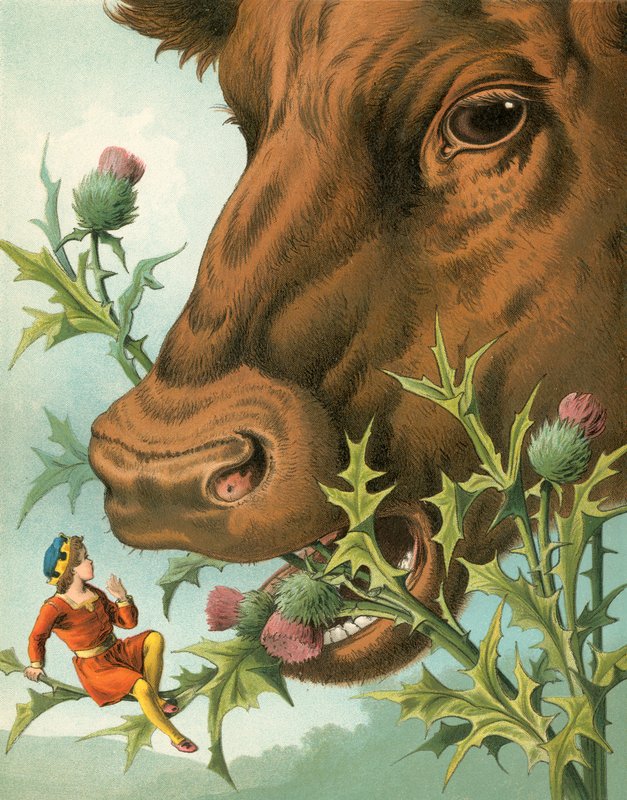 The History of Tom Thumb by English School
