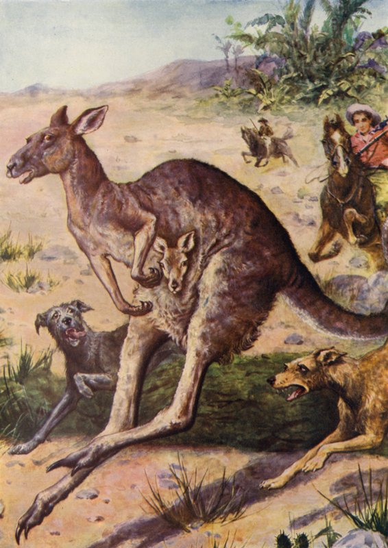 The Hunt by English School