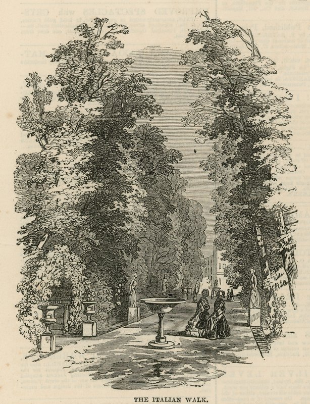The Italian Walk in Vauxhall Gardens by English School