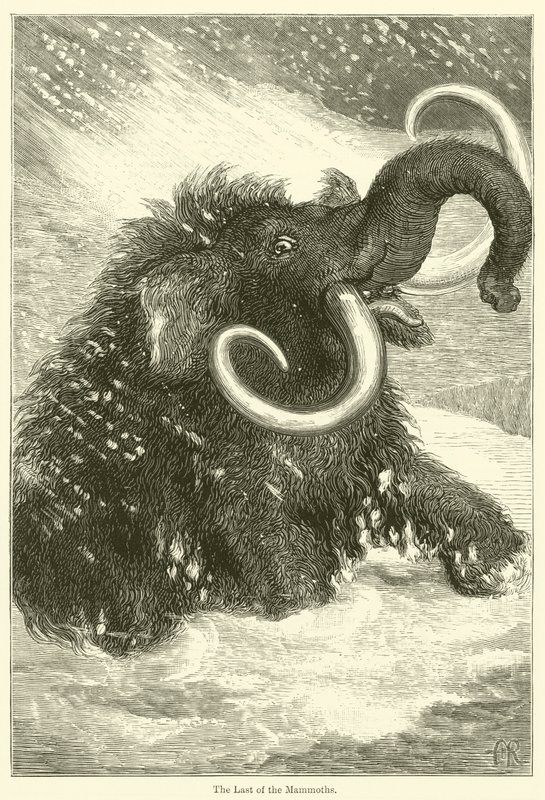 The Last of the Mammoths by English School