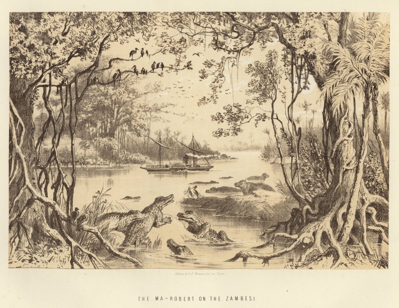 The Ma-Robert on the Zambesi by English School