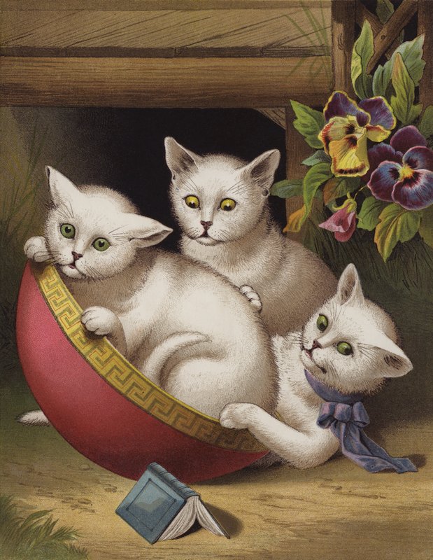 The Merry Kitten by English School